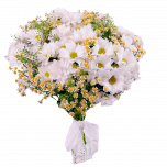 Букет «Красотка»